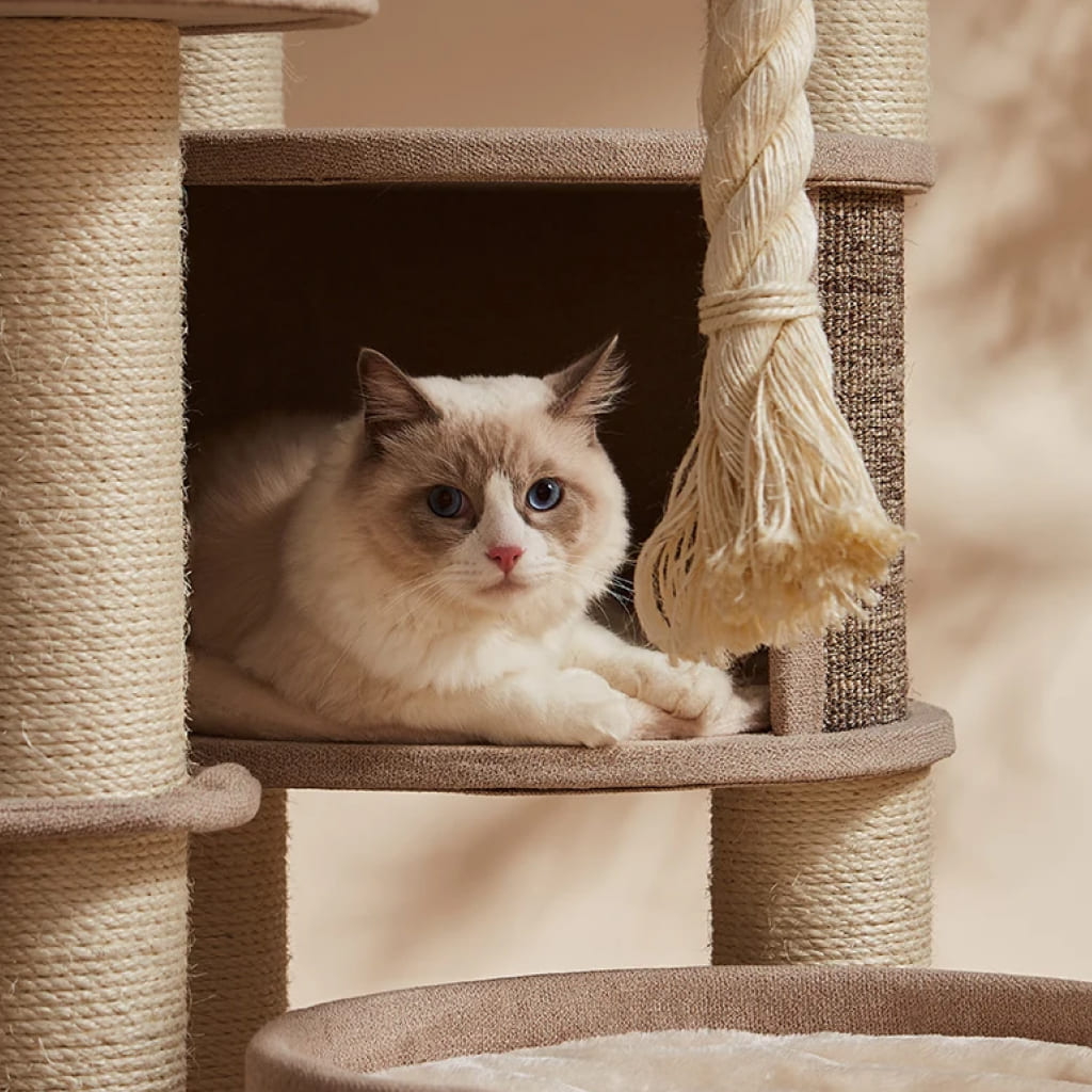 wooden cat tree tower